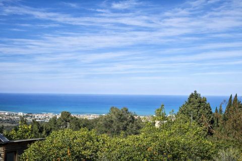 Grond in Benimeli, Alicante, Benimeli - € 75.000 | Ref: PNPT297 - foto 23